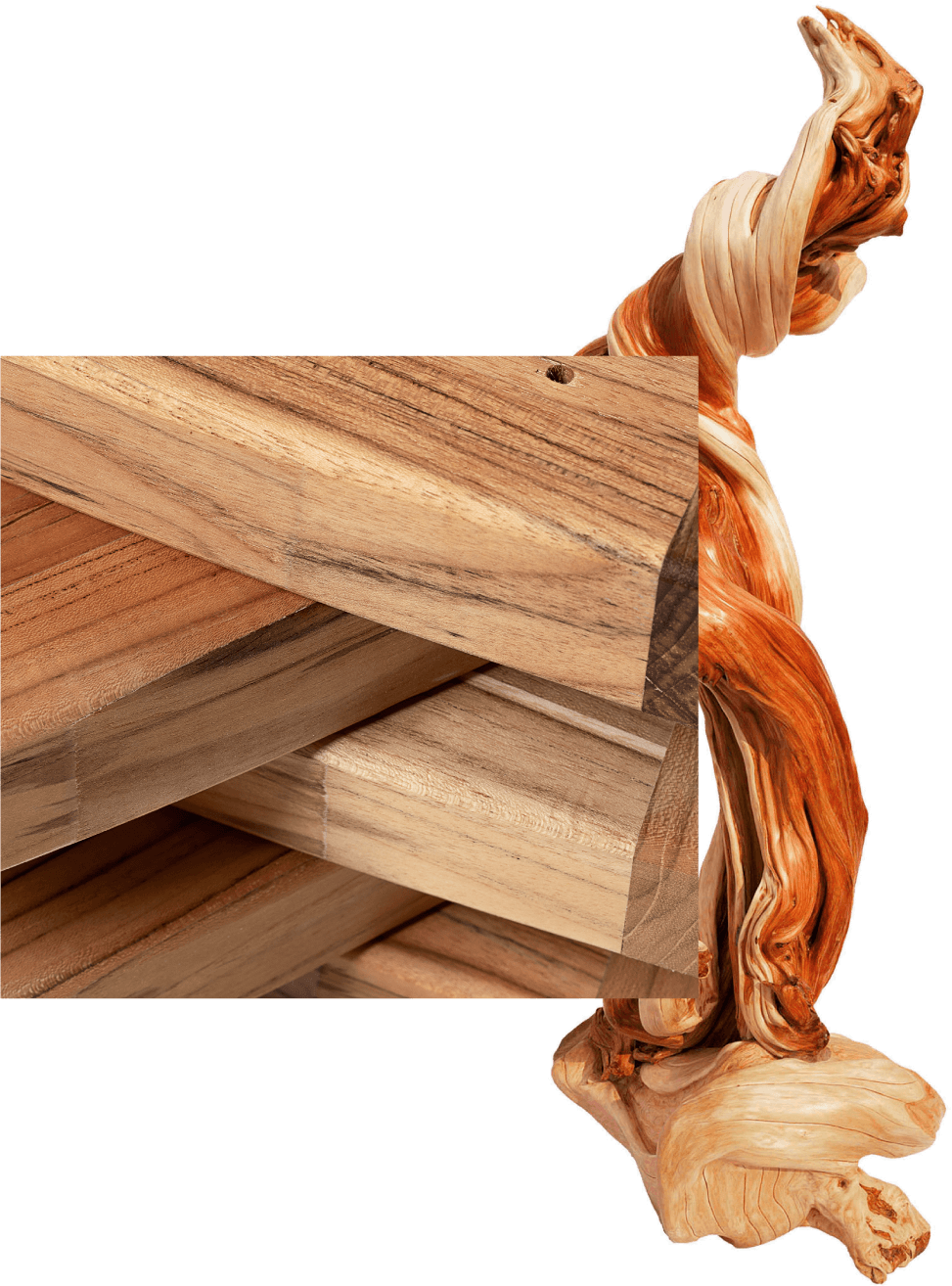 Imagem que introduz à marca